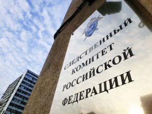 Глава ведомства поручил возбудить уголовное дело по факту нападения собаки на ребенка в Пензенской области